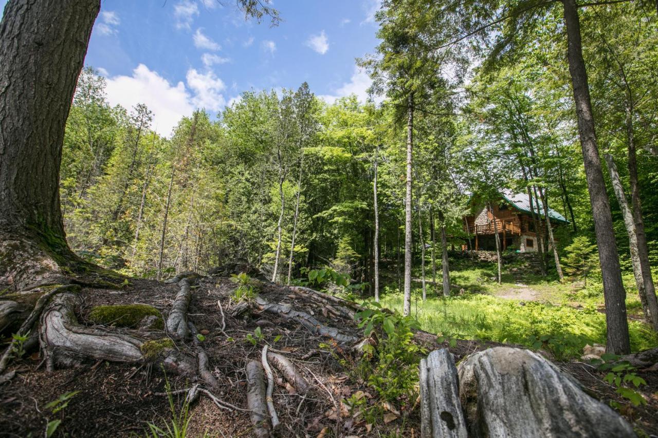 Vila Domaine La Cedriere Grenville-Sur-La-Rouge Exteriér fotografie